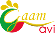 Logo GAAM AVI